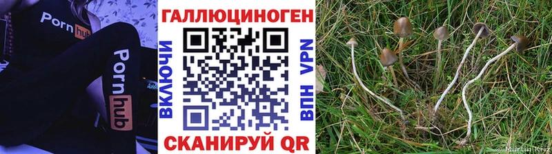 Галлюциногенные грибы Magic Shrooms  Купить закладки  Мирный 