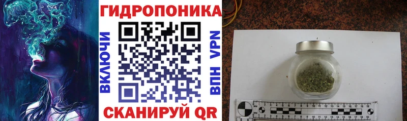 Купить  Мирный  Канабис OG Kush 